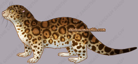 Pet
