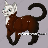 Pet