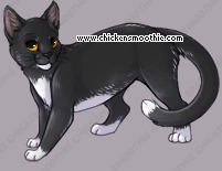 Pet