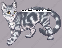 Pet