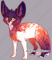 Pet