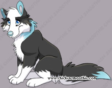 Pet