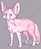 Pet