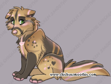 Pet