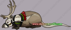 Pet