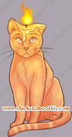 Pet