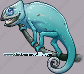 Pet