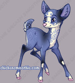 Pet
