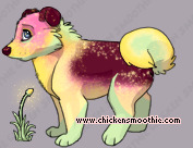 Pet