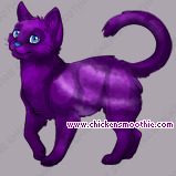 Pet