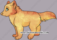 Pet