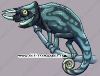 Pet