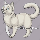 Pet