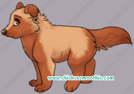 Pet