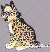 Pet