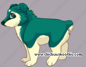 Pet