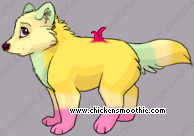 Pet