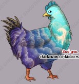 Pet