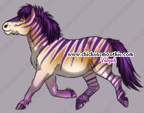 Pet