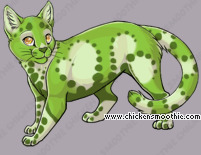 Pet