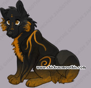 Pet