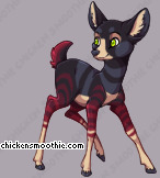 Pet