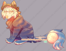 Pet