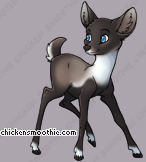 Pet