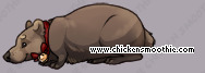 Pet