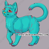 Pet