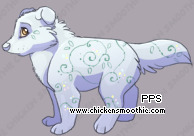 Pet