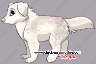 Pet