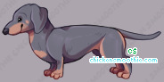 Pet