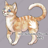 Pet