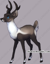 Pet