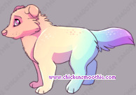 Pet