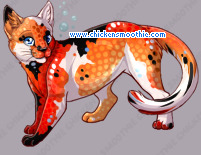 Pet