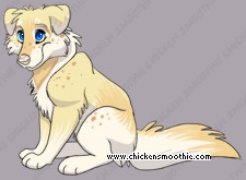 Pet