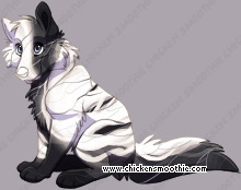 Pet
