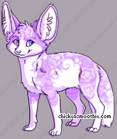 Pet