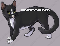 Pet