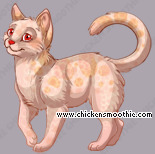 Pet