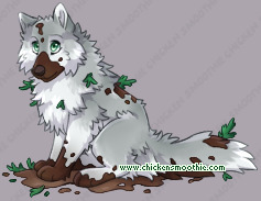 Pet