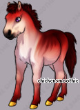 Pet