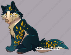 Pet