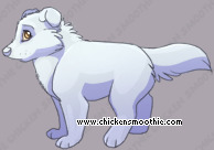 Pet