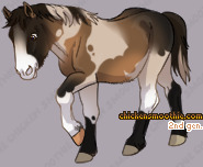 Pet