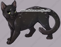Pet