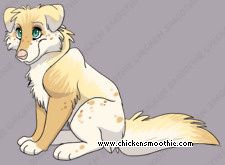 Pet