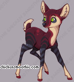 Pet